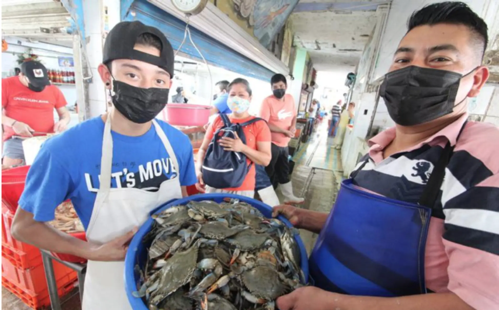 Jaibas en Tampico mitos y realidades sobre su escasez